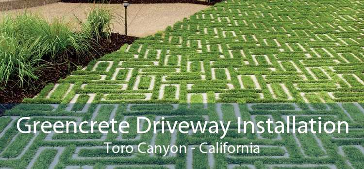 Greencrete Driveway Installation Toro Canyon - California