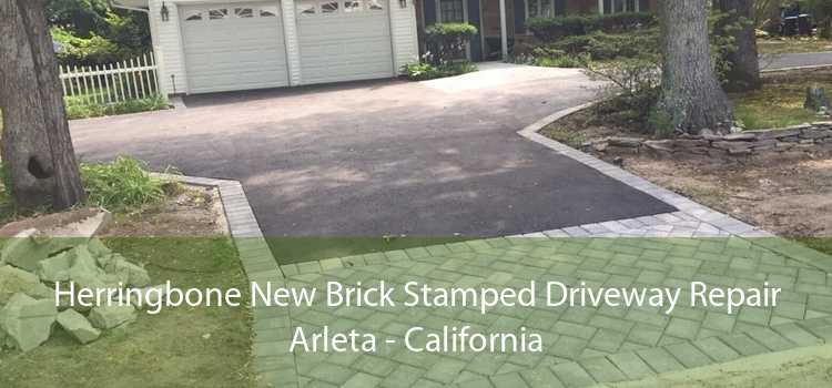 Herringbone New Brick Stamped Driveway Repair Arleta - California