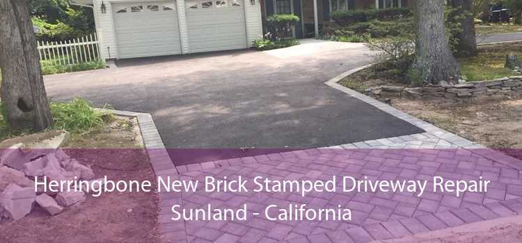 Herringbone New Brick Stamped Driveway Repair Sunland - California