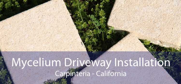 Mycelium Driveway Installation Carpinteria - California