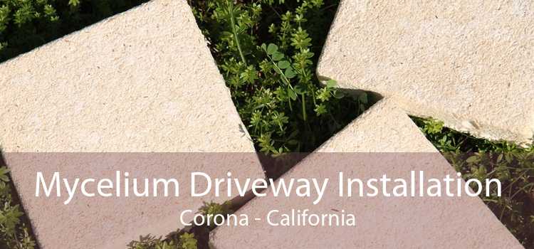 Mycelium Driveway Installation Corona - California