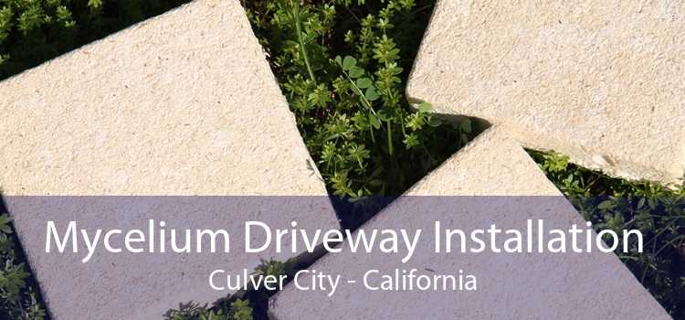 Mycelium Driveway Installation Culver City - California