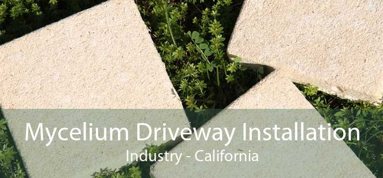 Mycelium Driveway Installation Industry - California