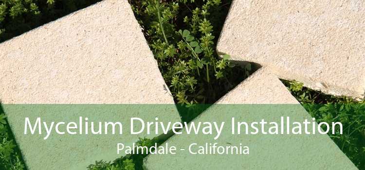 Mycelium Driveway Installation Palmdale - California