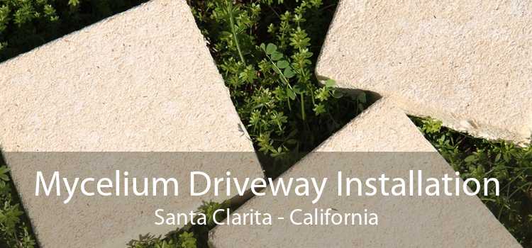 Mycelium Driveway Installation Santa Clarita - California