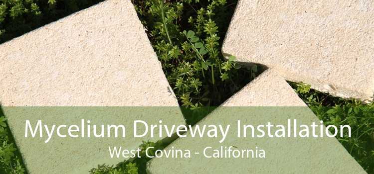 Mycelium Driveway Installation West Covina - California